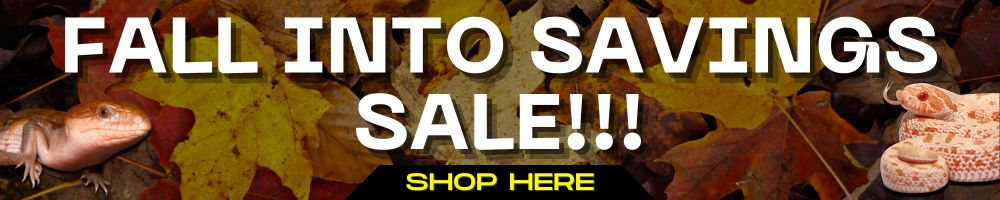 UGR Wholesale Fall Savings