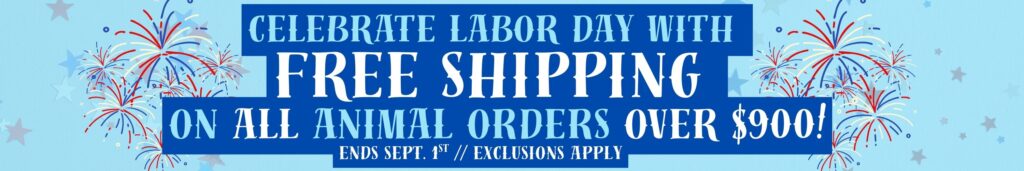 Free Shipping Labor Day