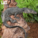 Baby Bintang Water Monitor