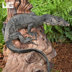 Baby Bintang Water Monitor